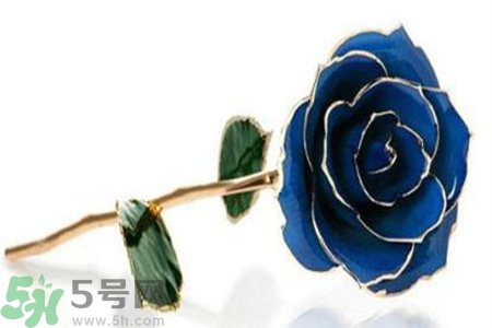 七夕送女朋友什么花？七夕送女朋友花送幾朵？