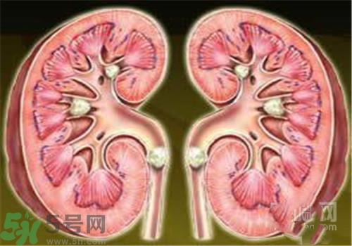 慢性腎炎能治好嗎？慢性腎炎能活多久？