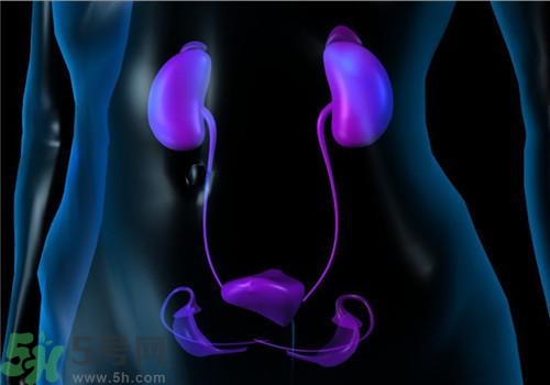 慢性腎炎能治好嗎？慢性腎炎能活多久？