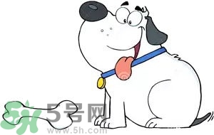 七夕單身狗怎么過？單身怎么過七夕？