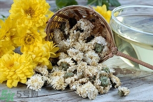 喝菊花茶有有什么好處?菊花茶的功效與作用 喝菊花茶有有什么好處?菊花茶的功效與作用