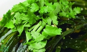 香菜可以和海帶一起吃嗎?香菜能和海帶同吃嗎? 香菜可以和海帶一起吃嗎?香菜能和海帶同吃嗎?