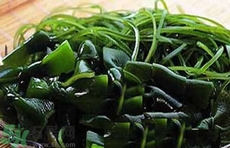 香菜可以和海帶一起吃嗎?香菜能和海帶同吃嗎? 香菜可以和海帶一起吃嗎?香菜能和海帶同吃嗎?