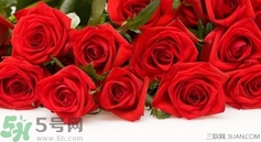 七夕和女朋友怎么過？七夕和女朋友說什么？