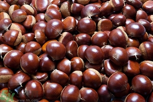 懷孕能吃板栗嗎？懷孕能吃生板栗嗎？