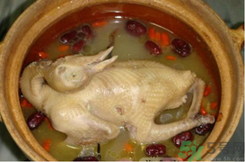 孕婦可以喝鴿子湯嗎？鴿子湯的功效與作用