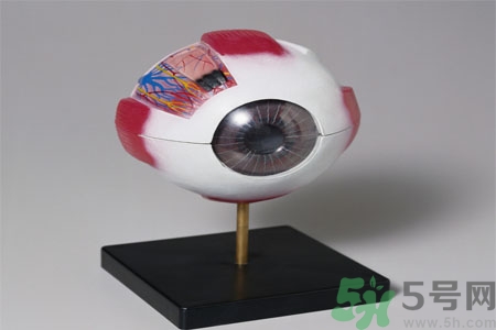 白內(nèi)障的高發(fā)人群有哪些？如何預(yù)防白內(nèi)障？