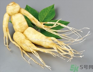 人參能生吃嗎？人參能泡水喝嗎？