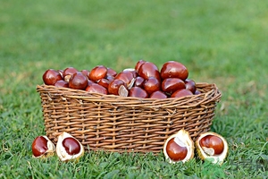 板栗皮可以吃嗎？板栗皮的功效與作用