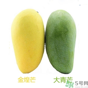 青芒和黃色芒果哪個好？青芒和黃色芒果的區(qū)別