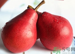 紅啤梨怎么吃?紅啤梨的營養(yǎng)價值 紅啤梨怎么吃?紅啤梨的營養(yǎng)價值