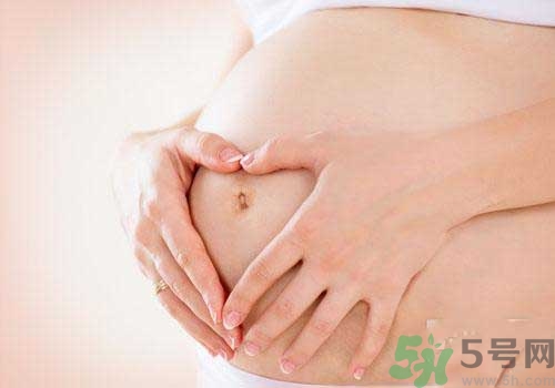 茲卡病毒通過什么途徑傳播？茲卡病毒的危害？