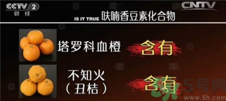 吃降壓藥能吃柚子嗎?服用降壓藥吃柚子會(huì)怎樣? 吃降壓藥能吃柚子嗎?服用降壓藥吃柚子會(huì)怎樣?