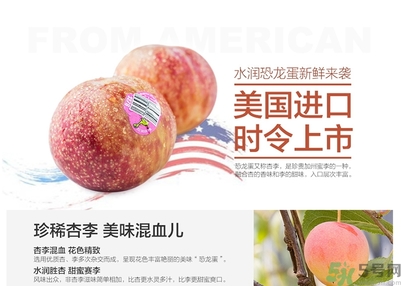 恐龍蛋水果孕婦可以吃嗎？恐龍蛋的禁忌