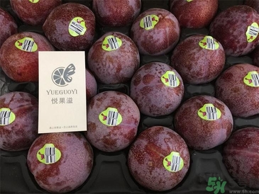 恐龍蛋水果孕婦可以吃嗎？恐龍蛋的禁忌