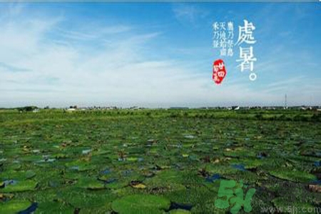 處暑吃什么水果？處暑養(yǎng)生水果推薦