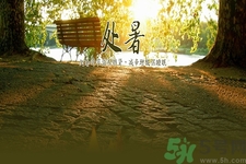 處暑為什么要吃鴨？處暑吃鴨的好處有哪些？