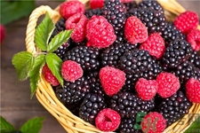 孕婦可以吃覆盆子嗎?孕婦吃覆盆子會怎樣? 孕婦可以吃覆盆子嗎?孕婦吃覆盆子會怎樣?