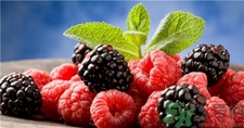 孕婦可以吃覆盆子嗎?孕婦吃覆盆子會怎樣? 孕婦可以吃覆盆子嗎?孕婦吃覆盆子會怎樣?