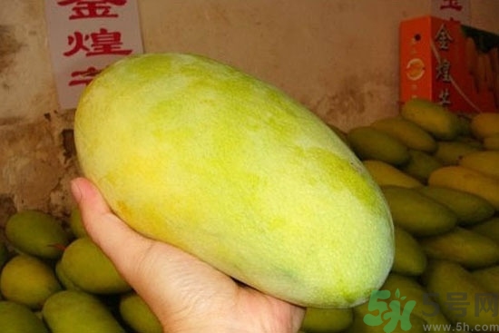 青芒和黃色芒果哪個好？青芒和黃色芒果的區(qū)別