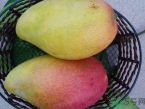 青芒和黃色芒果哪個好？青芒和黃色芒果的區(qū)別