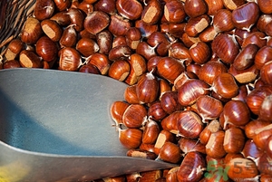 女人吃板栗好不好？男人吃板栗有什么好處？