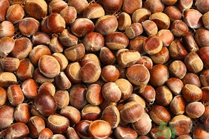 板栗皮可以吃嗎？板栗皮的功效與作用