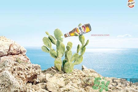 男子喝冰啤后洗澡出血 喝冰啤后可以洗澡嗎？