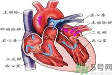 先天性心臟病需要注意什么？
