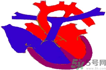 如何預(yù)防心臟??？心臟病的禁忌癥有哪些？