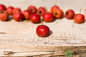 吃山楂會(huì)發(fā)胖嗎?一個(gè)山楂的熱量是多少 吃山楂會(huì)發(fā)胖嗎?一個(gè)山楂的熱量是多少