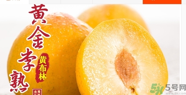 恐龍蛋水果怎么吃？恐龍蛋水果皮能吃嗎？