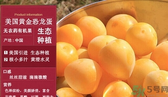 恐龍蛋水果怎么吃？恐龍蛋水果皮能吃嗎？