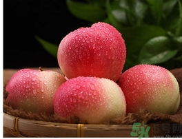 孕婦可以吃嘎啦果嗎？嘎啦果的禁忌