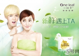 一葉子面膜怎么樣？一葉子明星產(chǎn)品