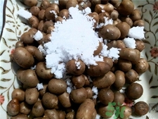 吃山藥豆有什么好處?山藥豆的功效與作用 吃山藥豆有什么好處?山藥豆的功效與作用