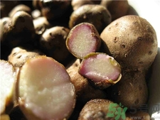 吃山藥豆有什么好處?山藥豆的功效與作用 吃山藥豆有什么好處?山藥豆的功效與作用