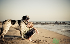 在家無聊怎么打發(fā)時(shí)間?在家無聊怎么辦 在家無聊怎么打發(fā)時(shí)間?在家無聊怎么辦