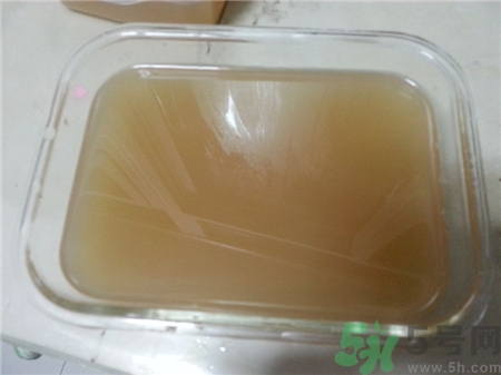 吃魚鱗真能補鈣嗎?魚鱗怎么吃補鈣效果好 吃魚鱗真能補鈣嗎?魚鱗怎么吃補鈣效果好