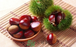 板栗可以吃多嗎?板栗吃多了會(huì)怎樣 板栗可以吃多嗎?板栗吃多了會(huì)怎樣