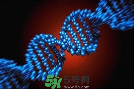 不宜過多食用辣椒的人群有哪些？夏天吃辣椒的好處有哪些？