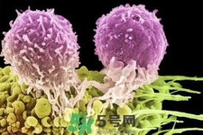 不宜過多食用辣椒的人群有哪些？夏天吃辣椒的好處有哪些？