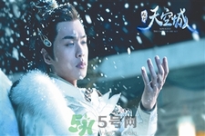 天空草是什么？天空草有什么用？