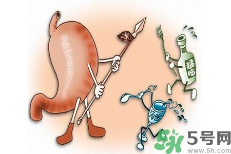 哪些食物幫你在酒后保養(yǎng)胃部？養(yǎng)胃護(hù)胃的誤區(qū)是什么？