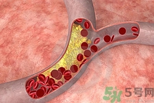 膽固醇對人體有傷害嗎？膽固醇是什么？