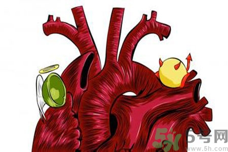 人體中的膽固醇分好壞嗎？如何區(qū)分膽固醇的好壞？