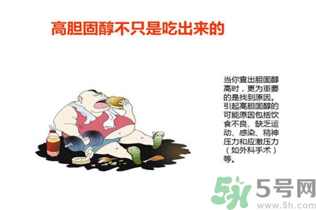 高膽固醇會影響胖瘦嗎？高膽固醇和胖瘦有關(guān)系嗎？