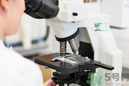 激素是什么？激素會(huì)對(duì)人體產(chǎn)生什么作用？