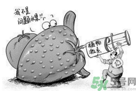 如何分清常見的激素藥？如何正確使用激素類藥物？