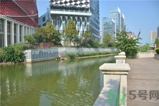 武昌楚河變綠,河水變綠是什么原因? 武昌楚河變綠,河水變綠是什么原因?